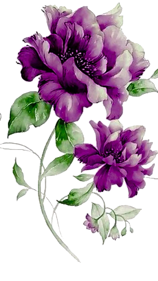 Purple Flowers PNG Photo