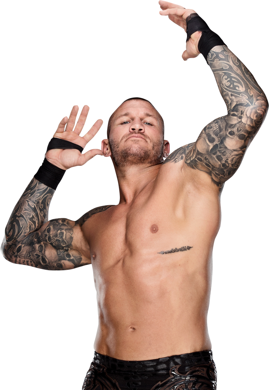 Randy Orton PNG Image with Transparent Background