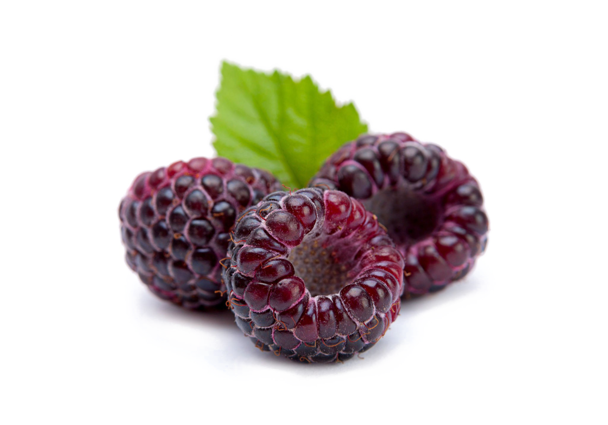 Raspberry PNG Image Background