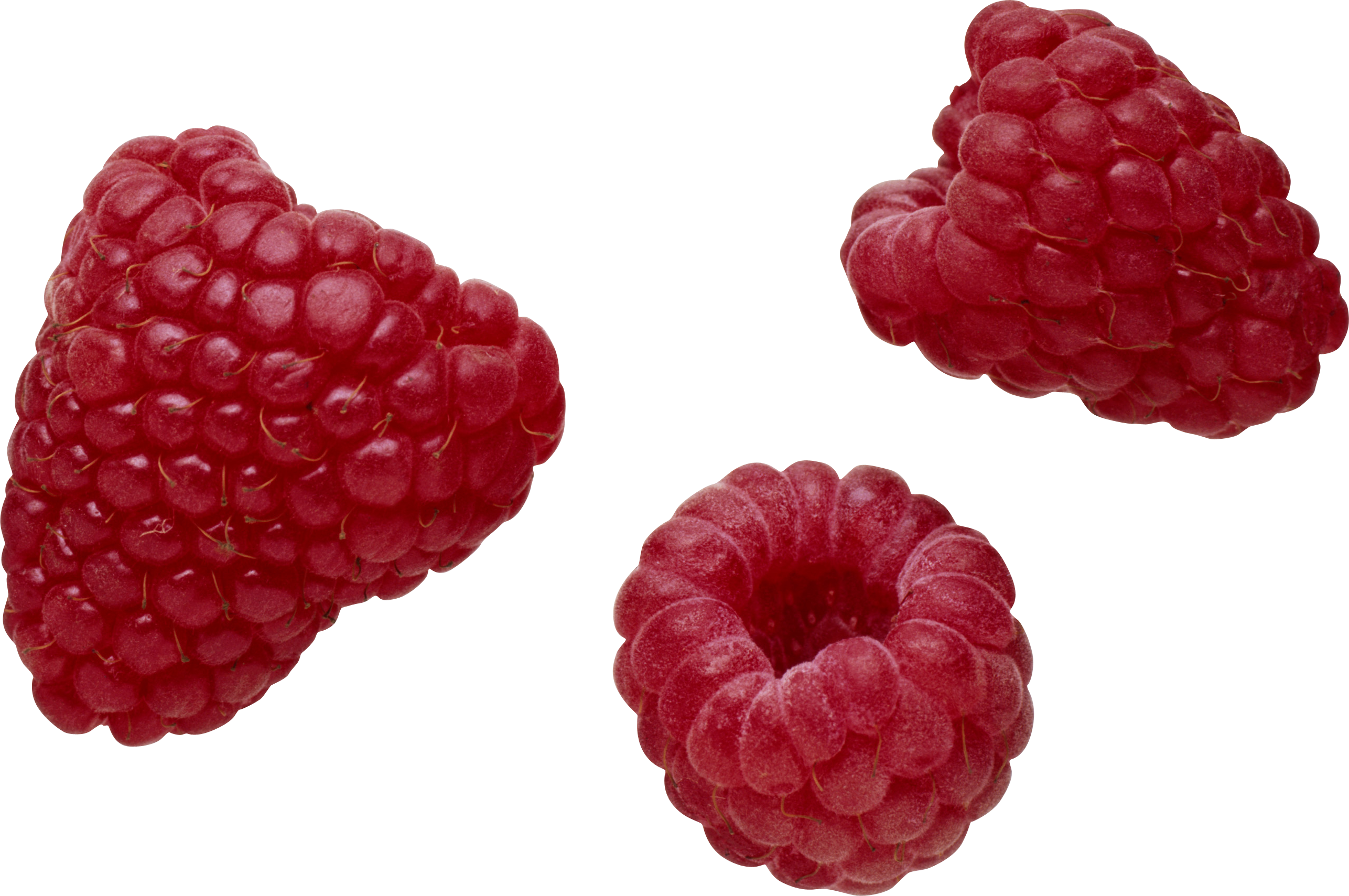Gambar Transparan raspberry