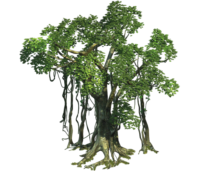 Realistic Tree Free PNG Image