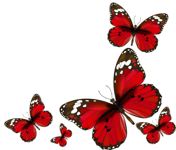 Red Butterfly PNG Image