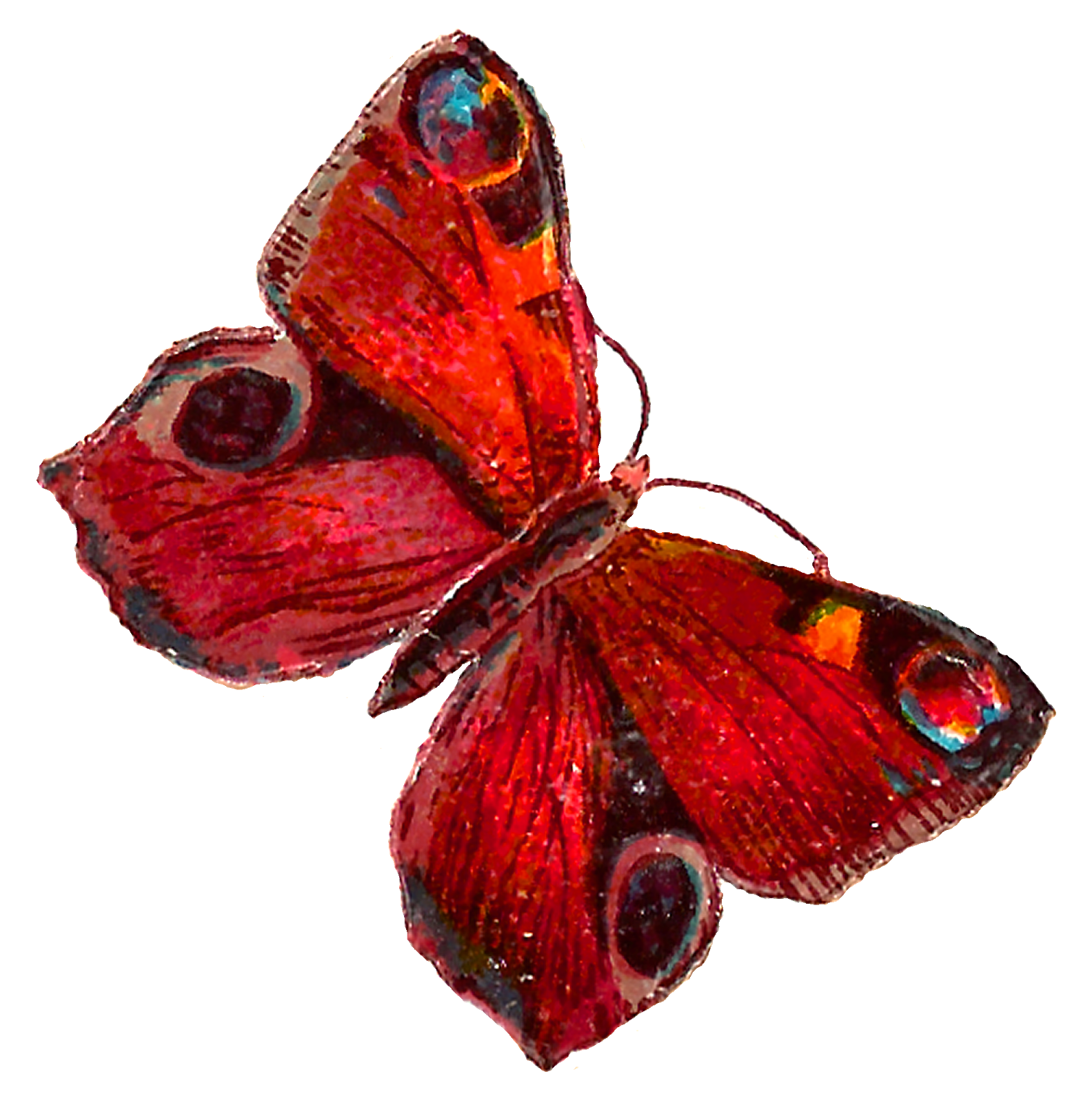 붉은 나비 PNG 그림