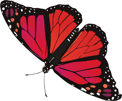 Immagine Trasparente della farfalla rossa