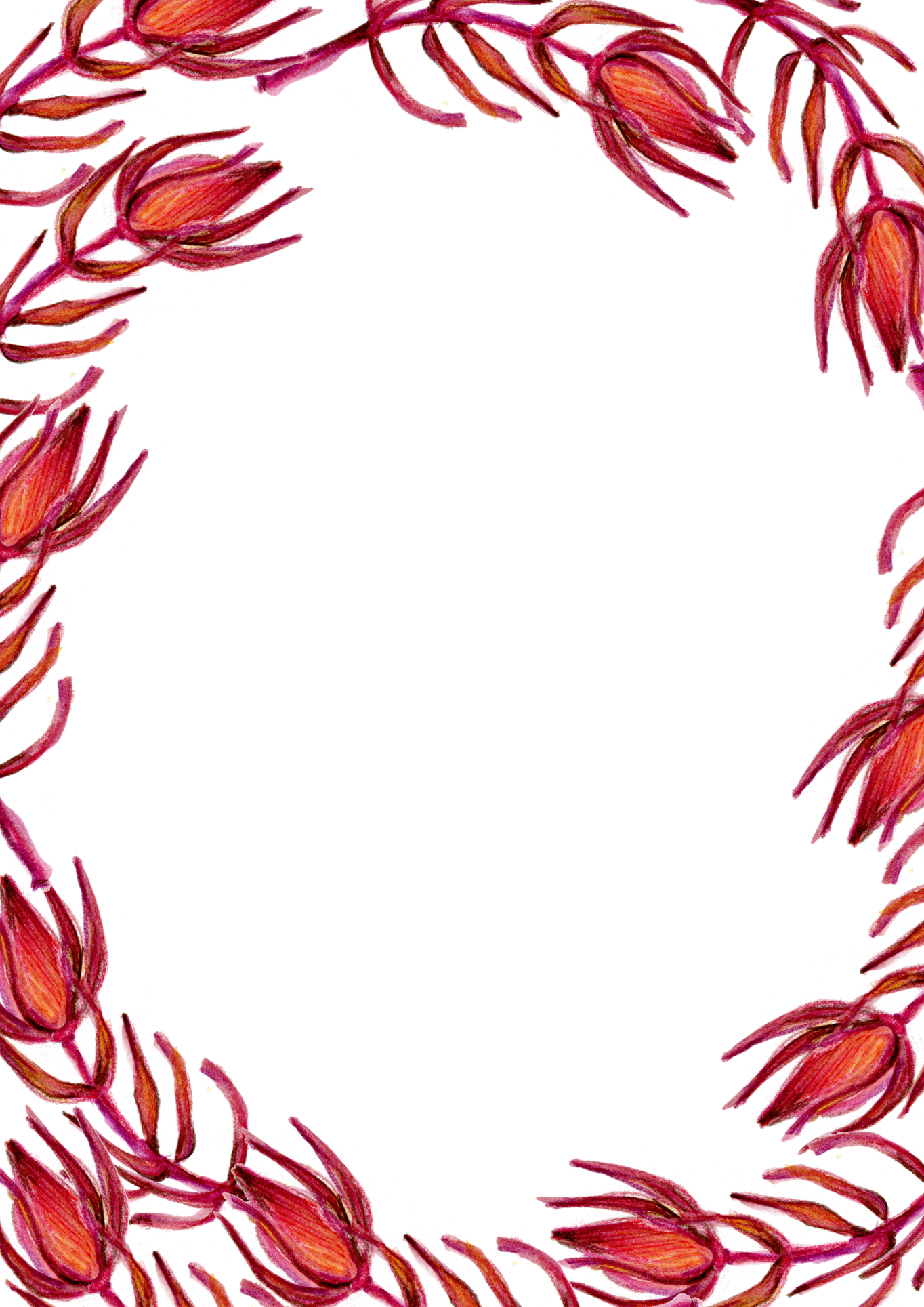 Border floreale rosso Scarica limmagine PNG