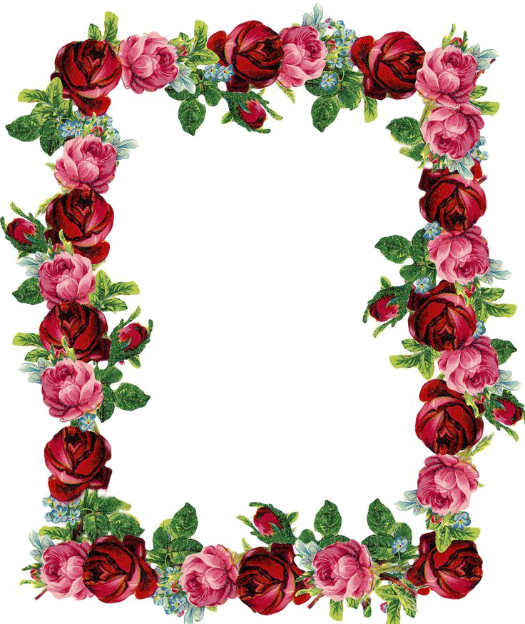 Imagem de PNG de fronteira floral vermelha