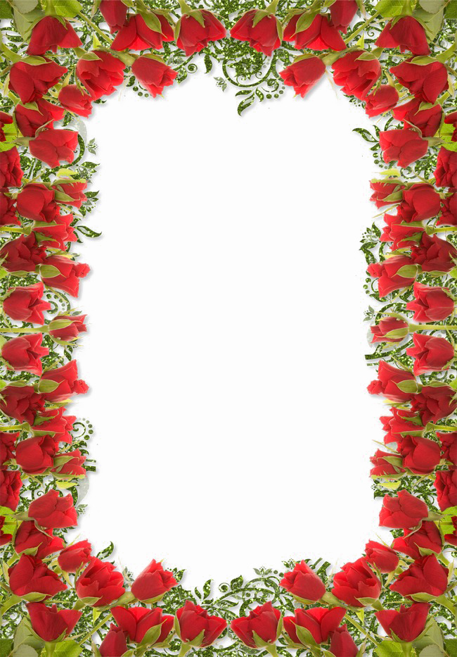 Rotes Blumengrenze PNG-Foto