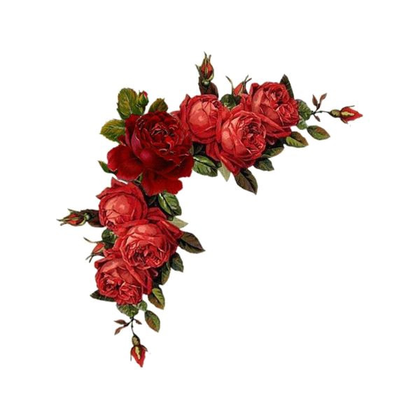 Red Floral Border PNG Pic