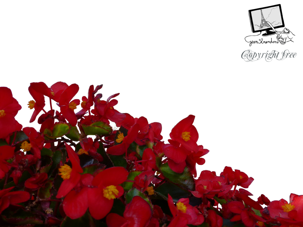 Rote Blumen PNG Free Download