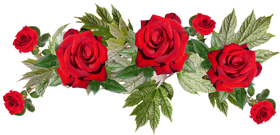 Red Flowers PNG Image with Transparent Background