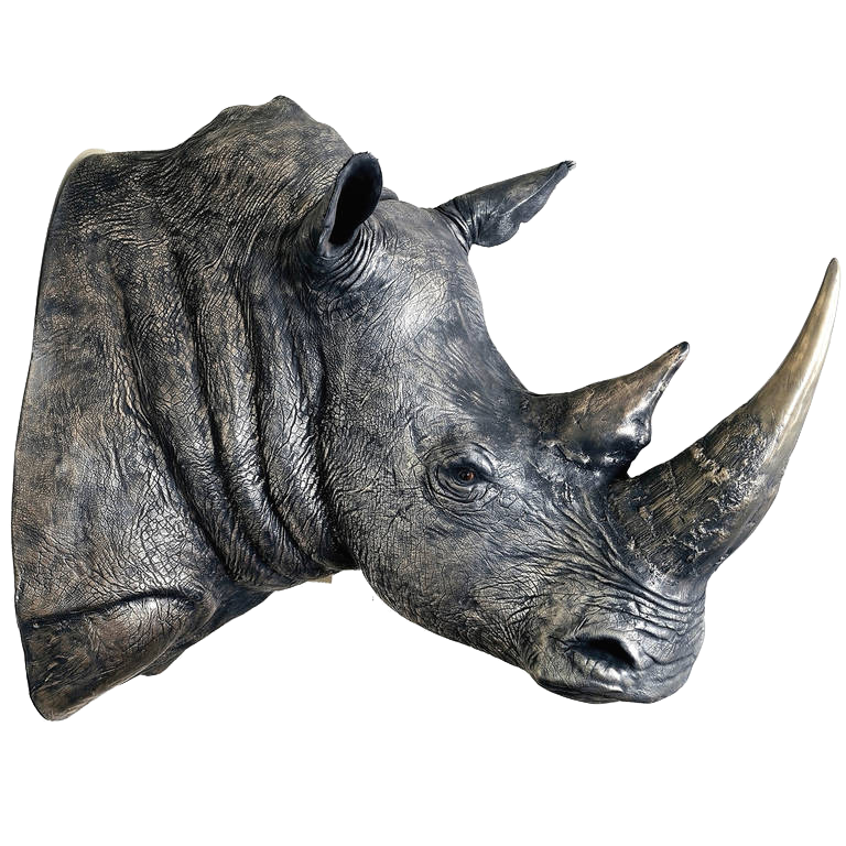 Rhinoceros Transparent Images