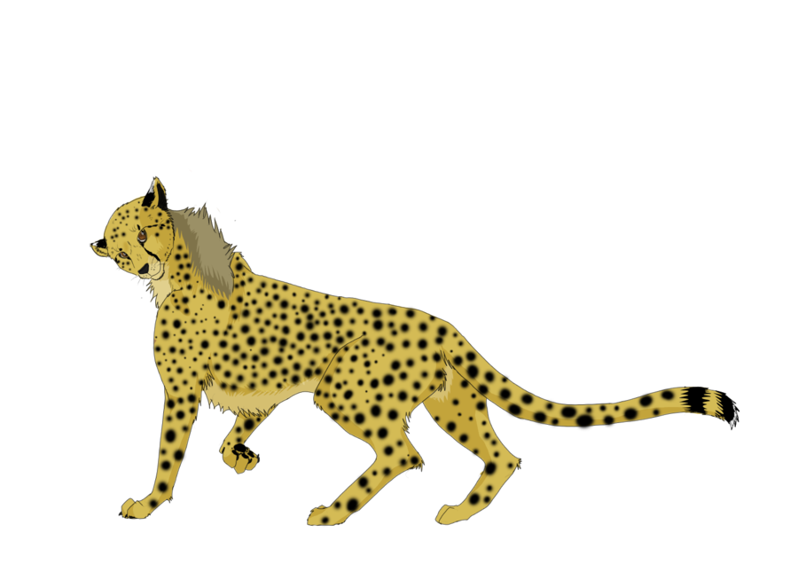 Running Cheetah PNG Background Image
