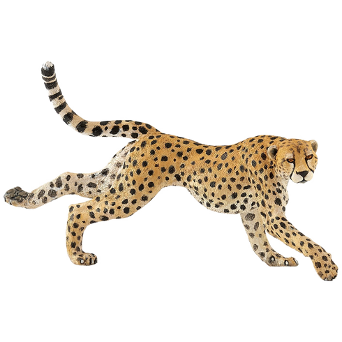 Running Cheetah PNG Free Download