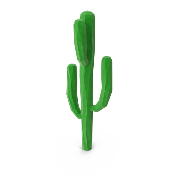 Saguaro Cactus PNG Скачать изображение
