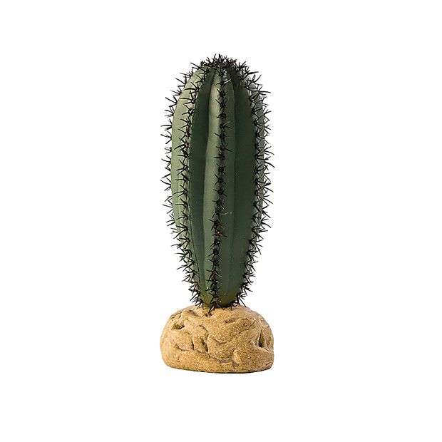 Imagen de alta calidad Saguaro Cactus PNG