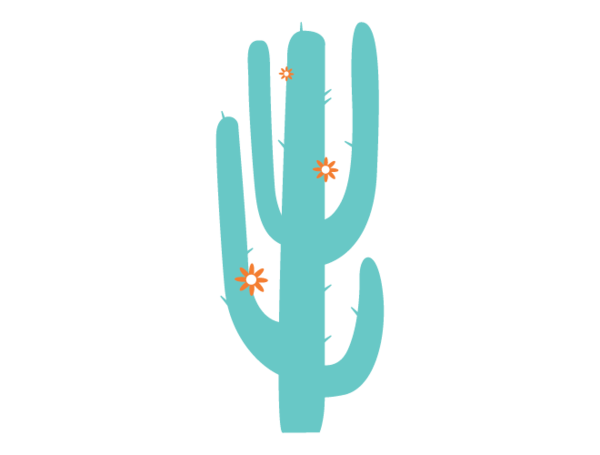 Immagine Trasparente del cactus del saguaro
