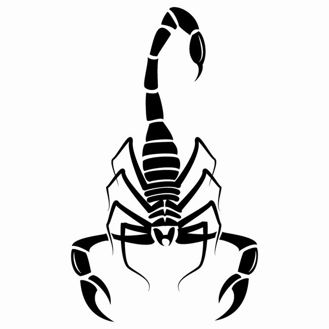 Scorpio PNG-Bildhintergrund