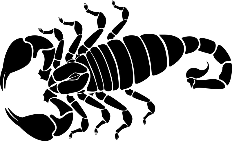 Image Transparente scorpion