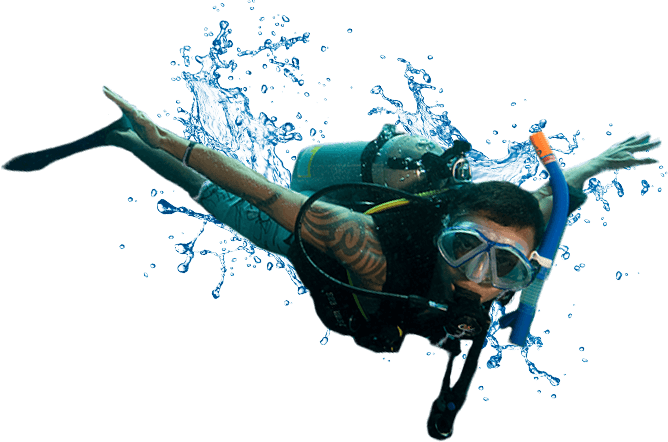 Scuba Diver Transparent Image