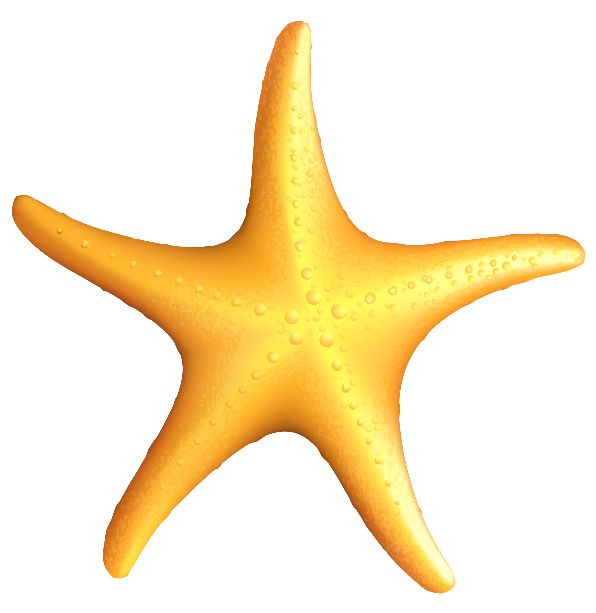 Sea Star PNG Background Image