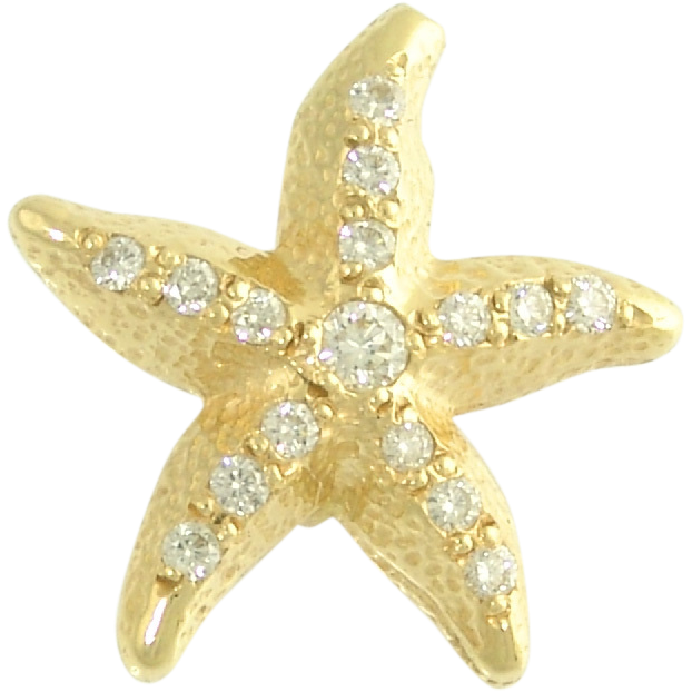 Sea Star PNG High-Quality Image