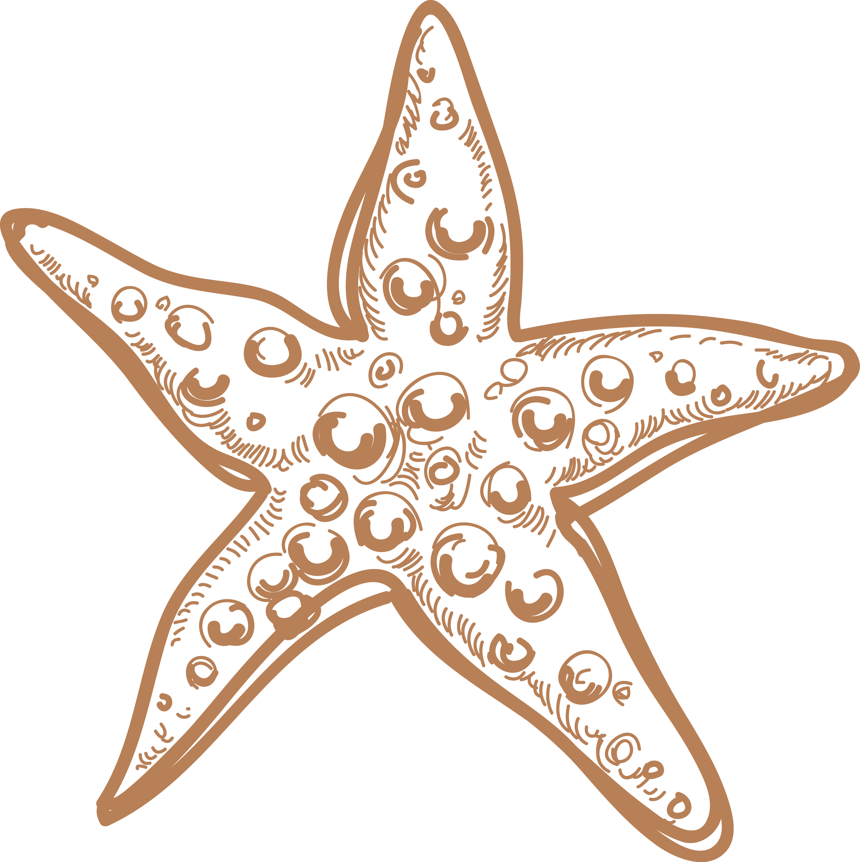 Sea Star PNG Image Background