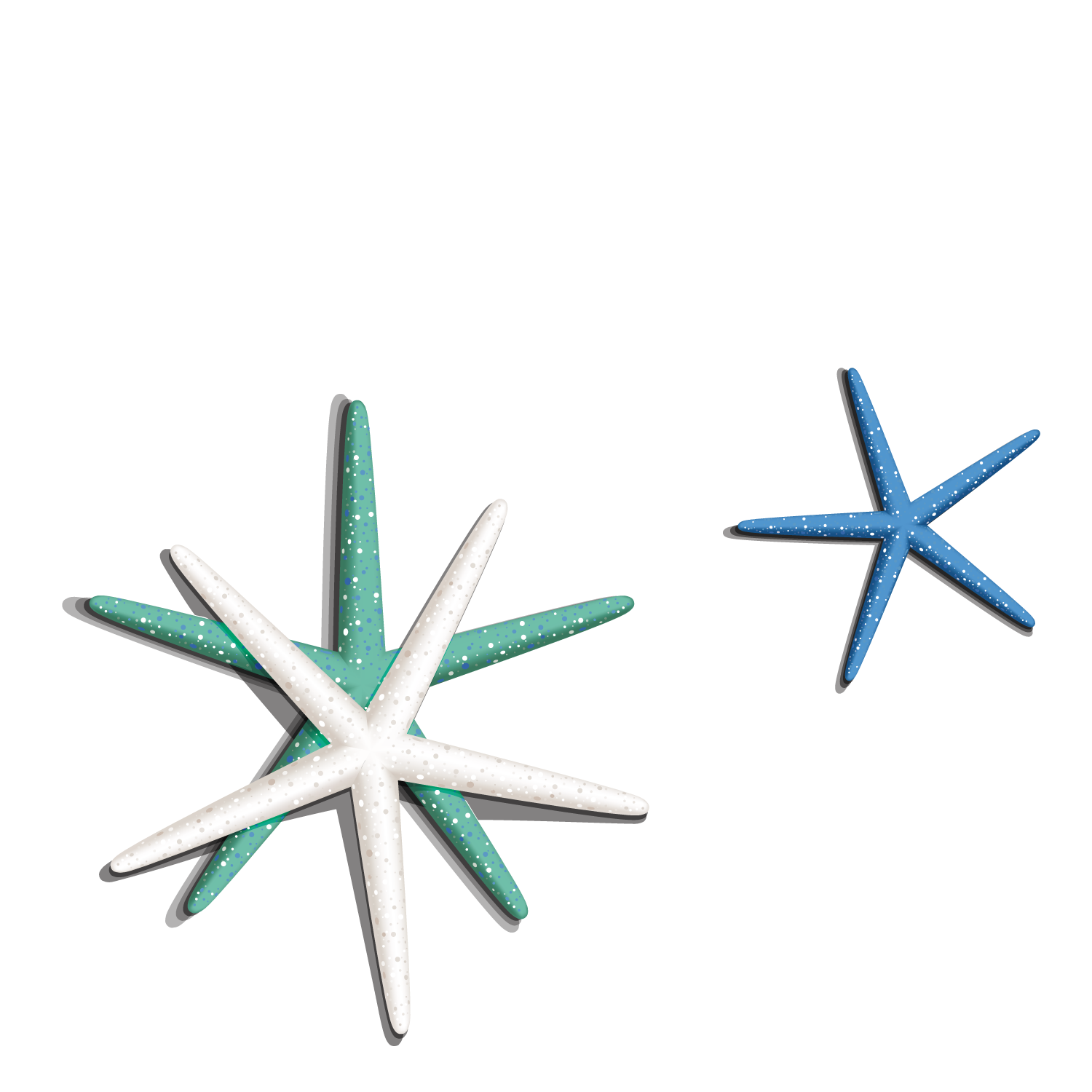 Sea Star PNG Image