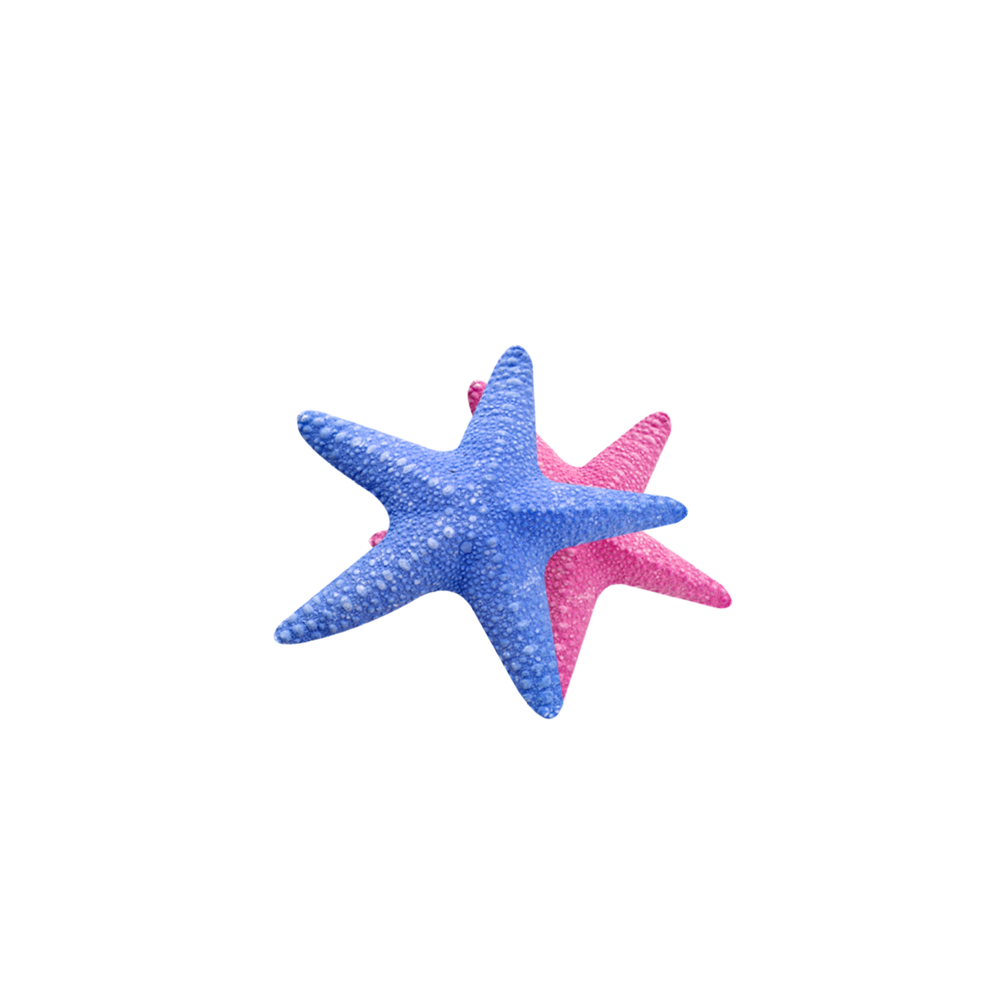 Sea Star Transparent