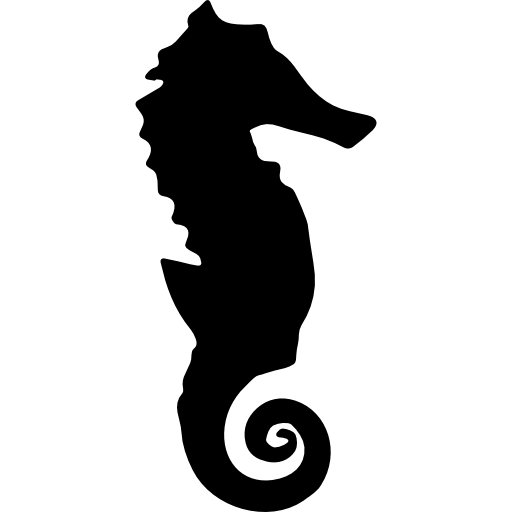 Seahorse PNG Free Download
