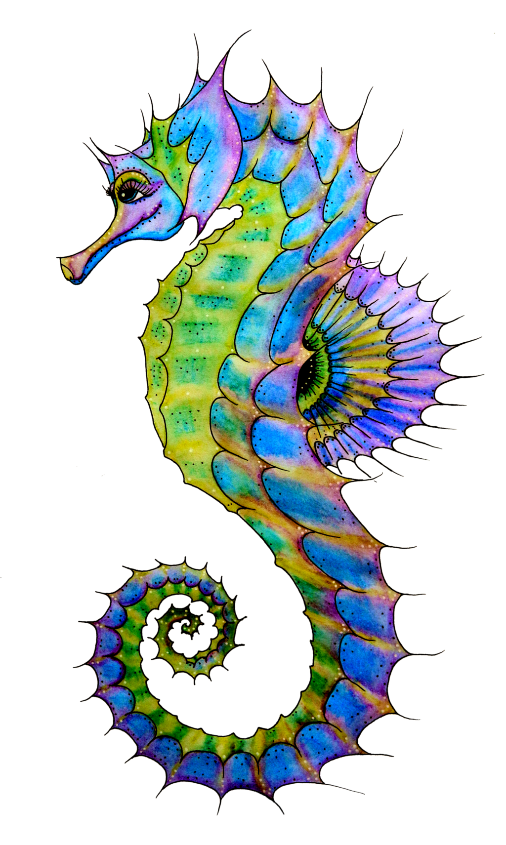 Seahorse PNG Transparent Image