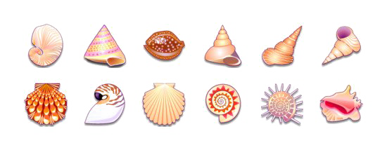 Seashell PNG تحميل مجاني