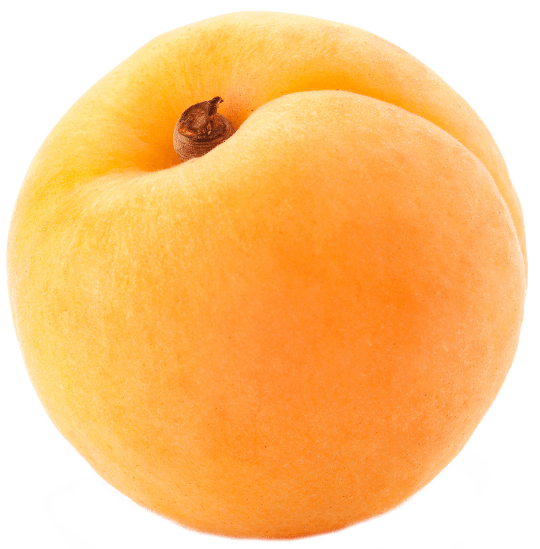 Single Apricot PNG Image Background