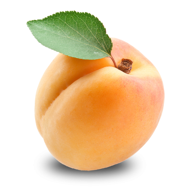 Single Apricot PNG Image
