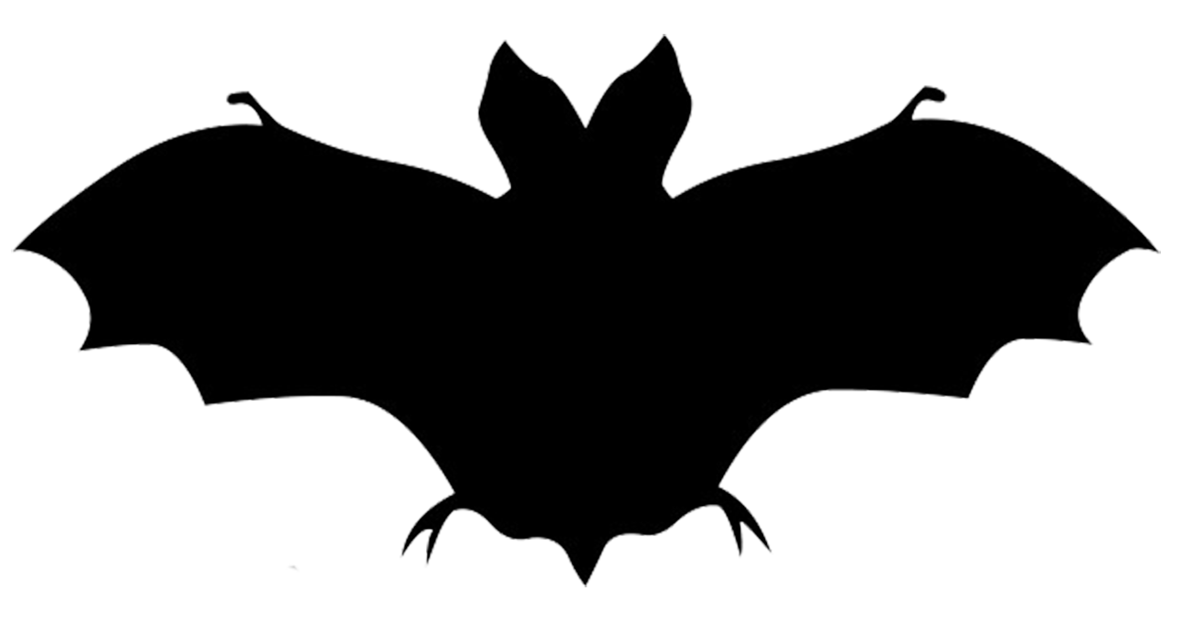 Image PNG GRATUITE SIMPLE BAT