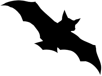 Single Bat PNG Image Background