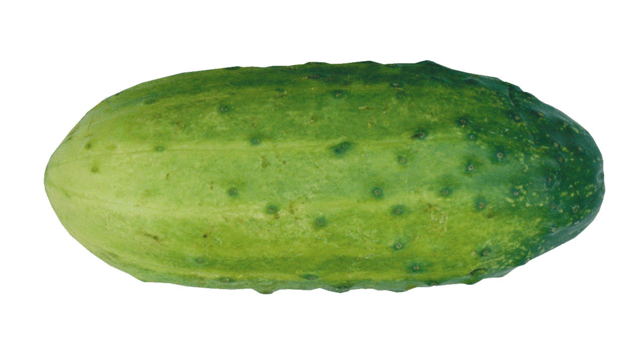 Single Cucumber Free PNG Image
