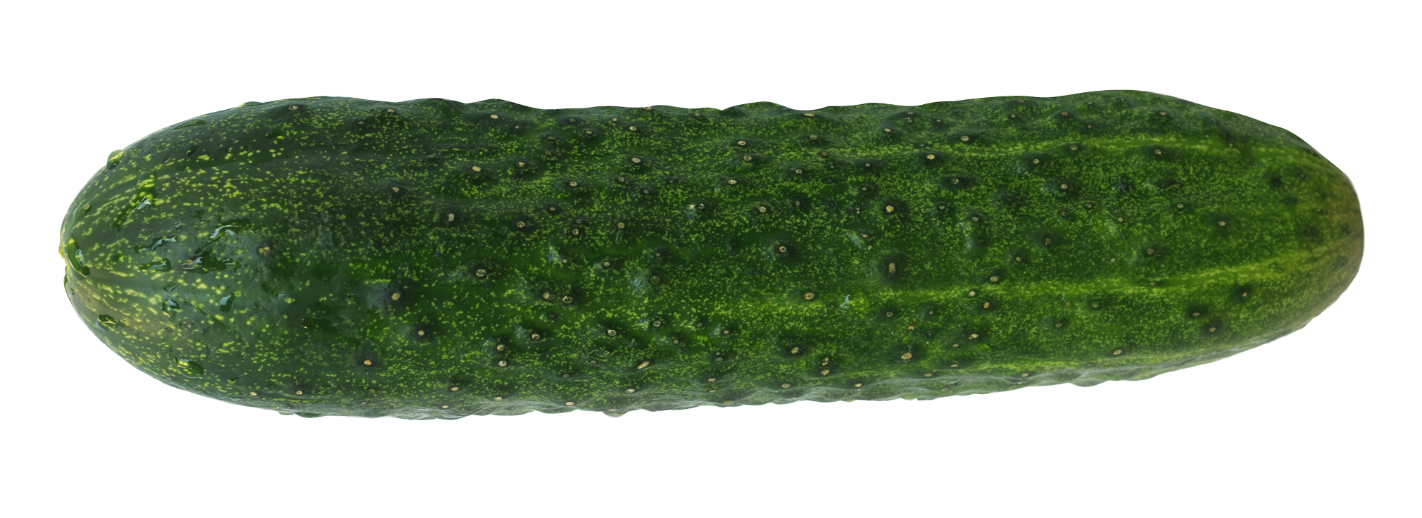 Single Cucumber PNG Background Image