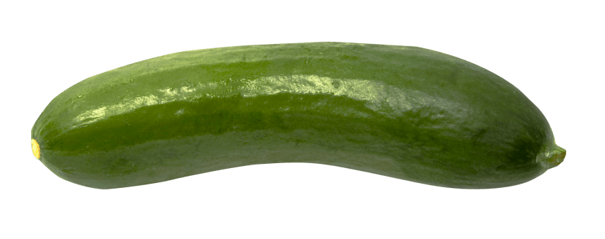 Single Cucumber PNG Download Image