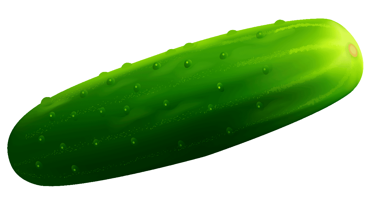 Single Cucumber PNG Free Download
