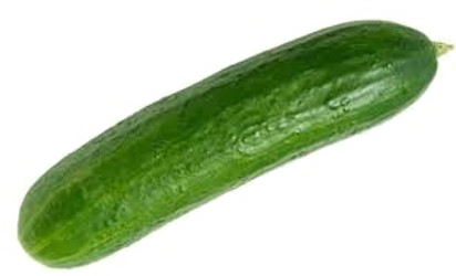 Single Cucumber PNG High-Quality Image