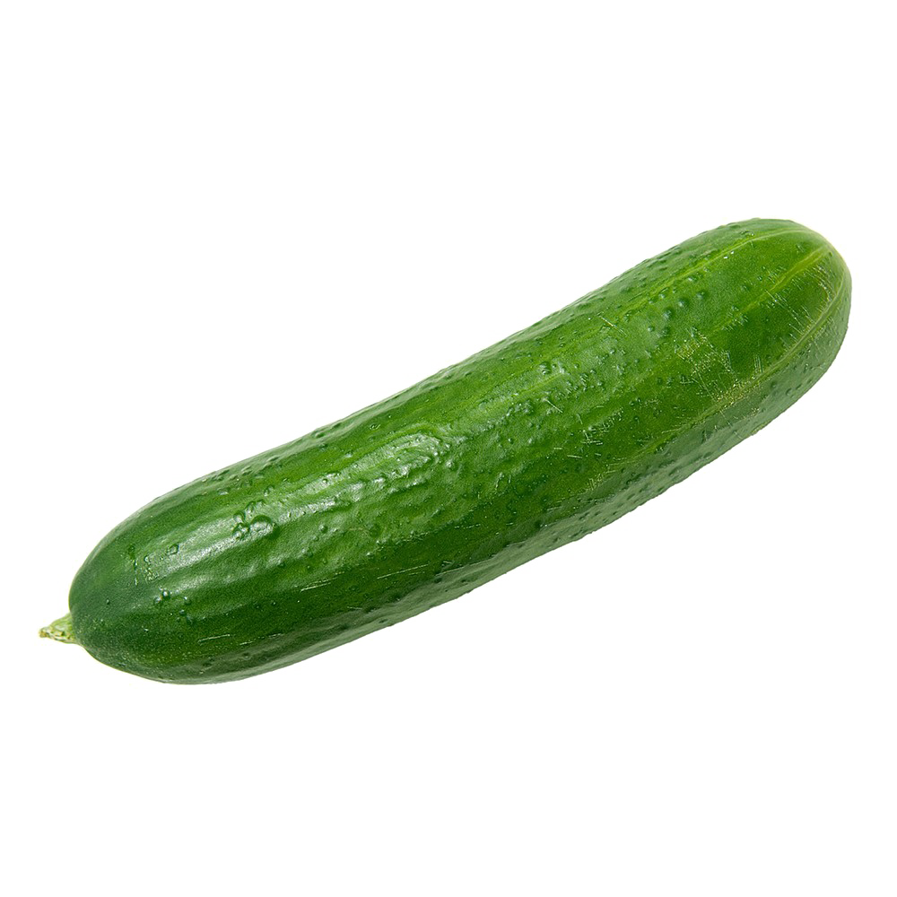 Single Cucumber PNG Image Background