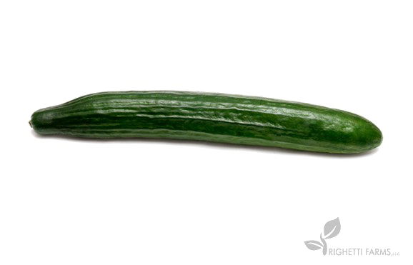 Single Cucumber PNG Pic