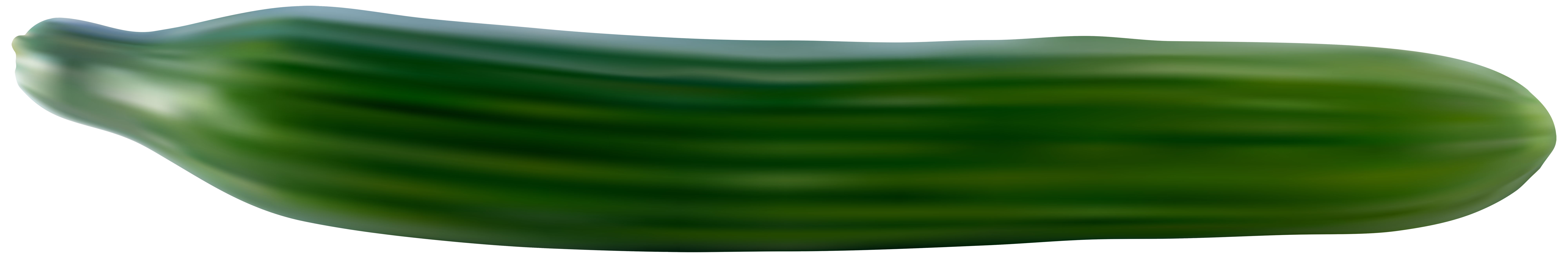 Enkele komkommer PNG Transparant Beeld