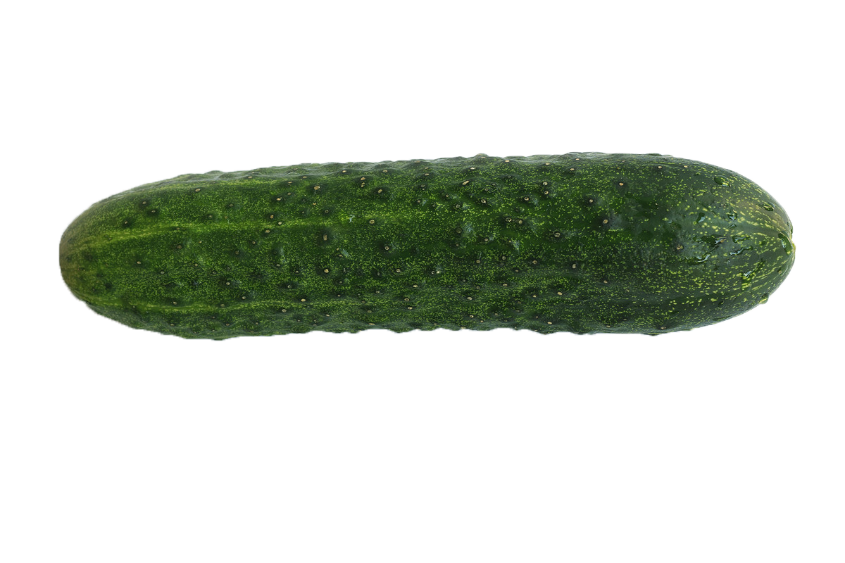 Single Cucumber Transparent Background PNG