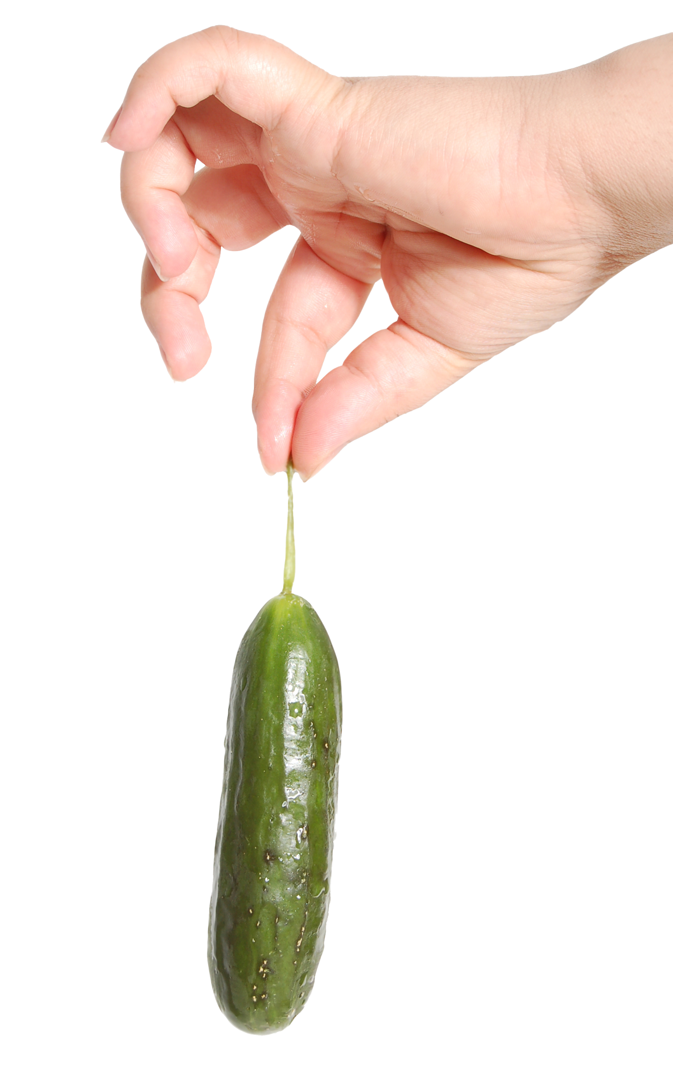 Single Cucumber Transparent Images