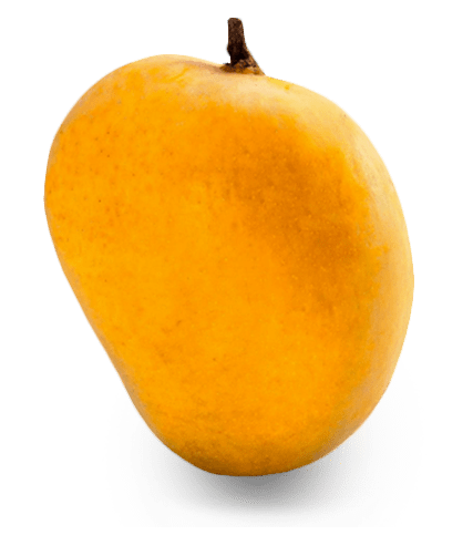 Single Mango Free PNG Image