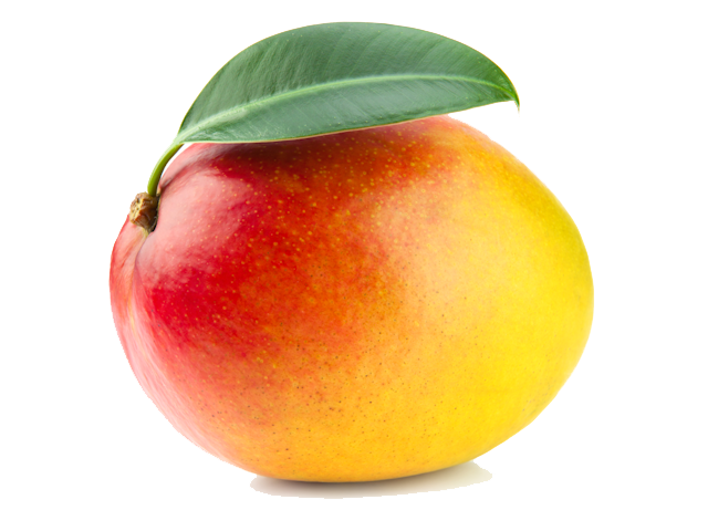 Single Mango PNG Download Image