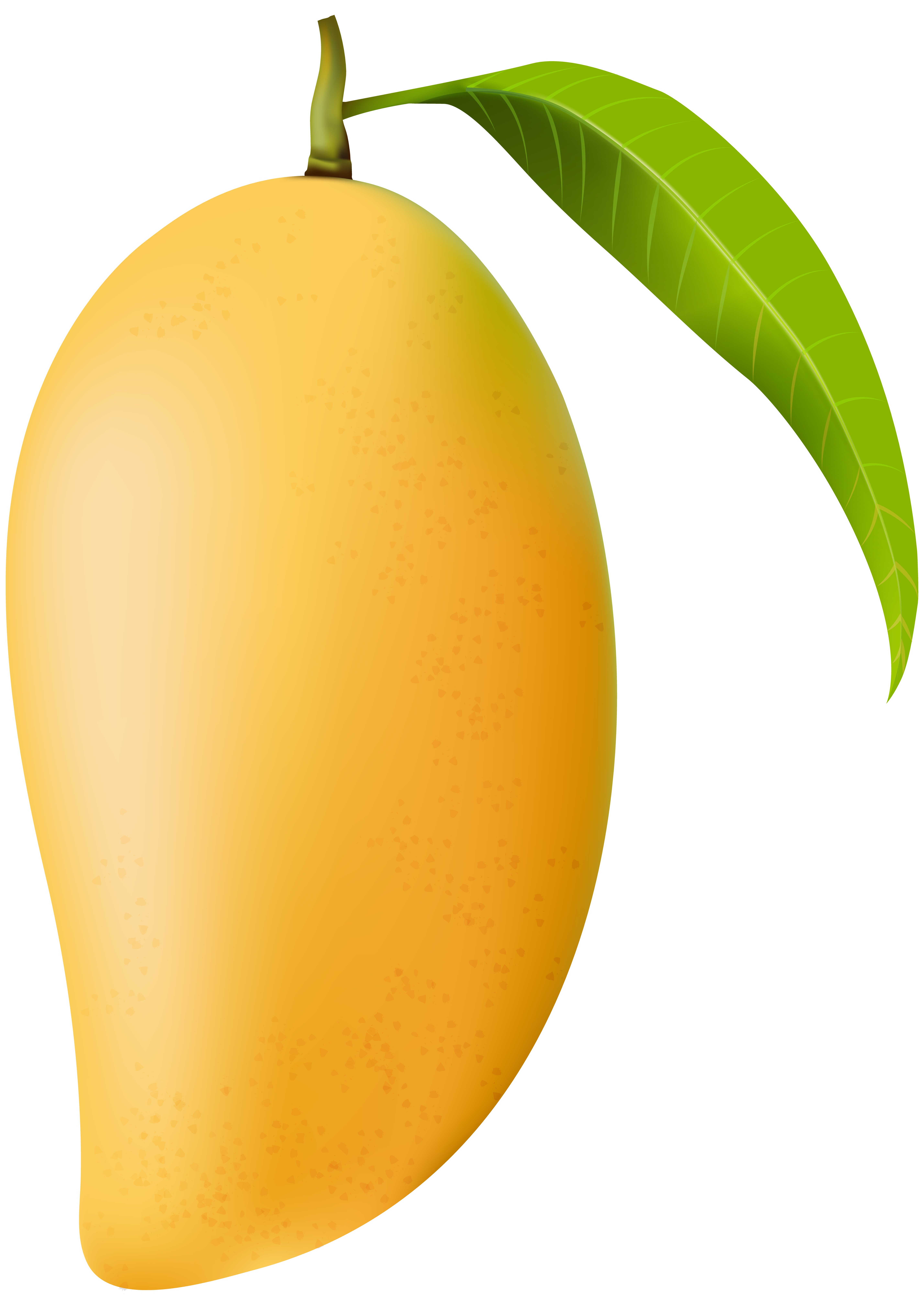 Single Mango PNG High-Quality Image
