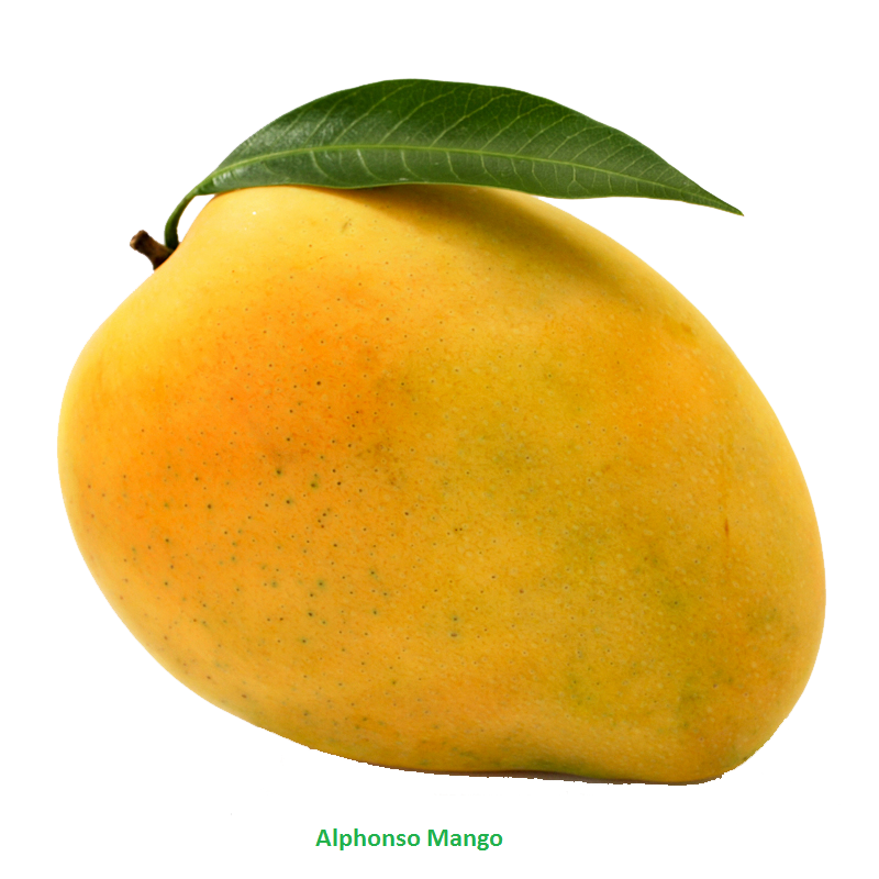Single Mango PNG Transparant Beeld