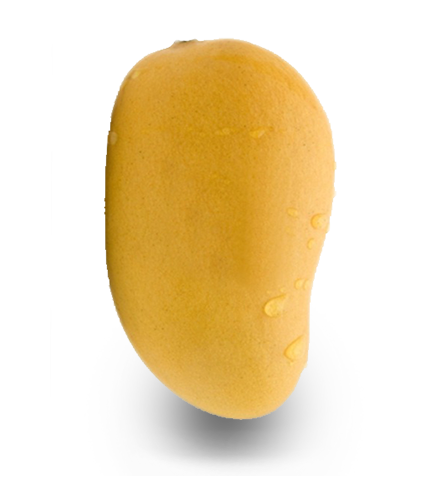 Одиночные прозрачные изображения манго
